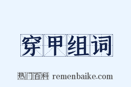 穿甲组词是什么意思的图片